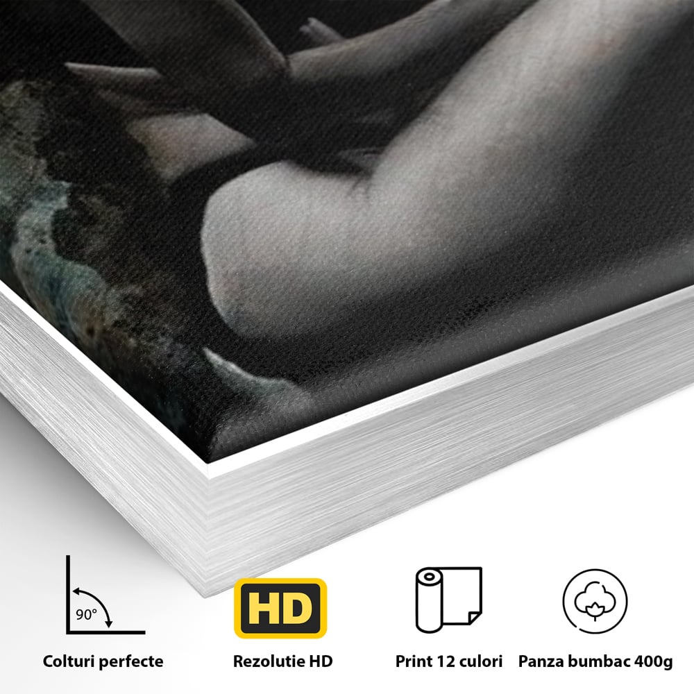 Detaliu al suprafetei: tablou canvas cu silueta feminina, in rama de aluminiu argintiu